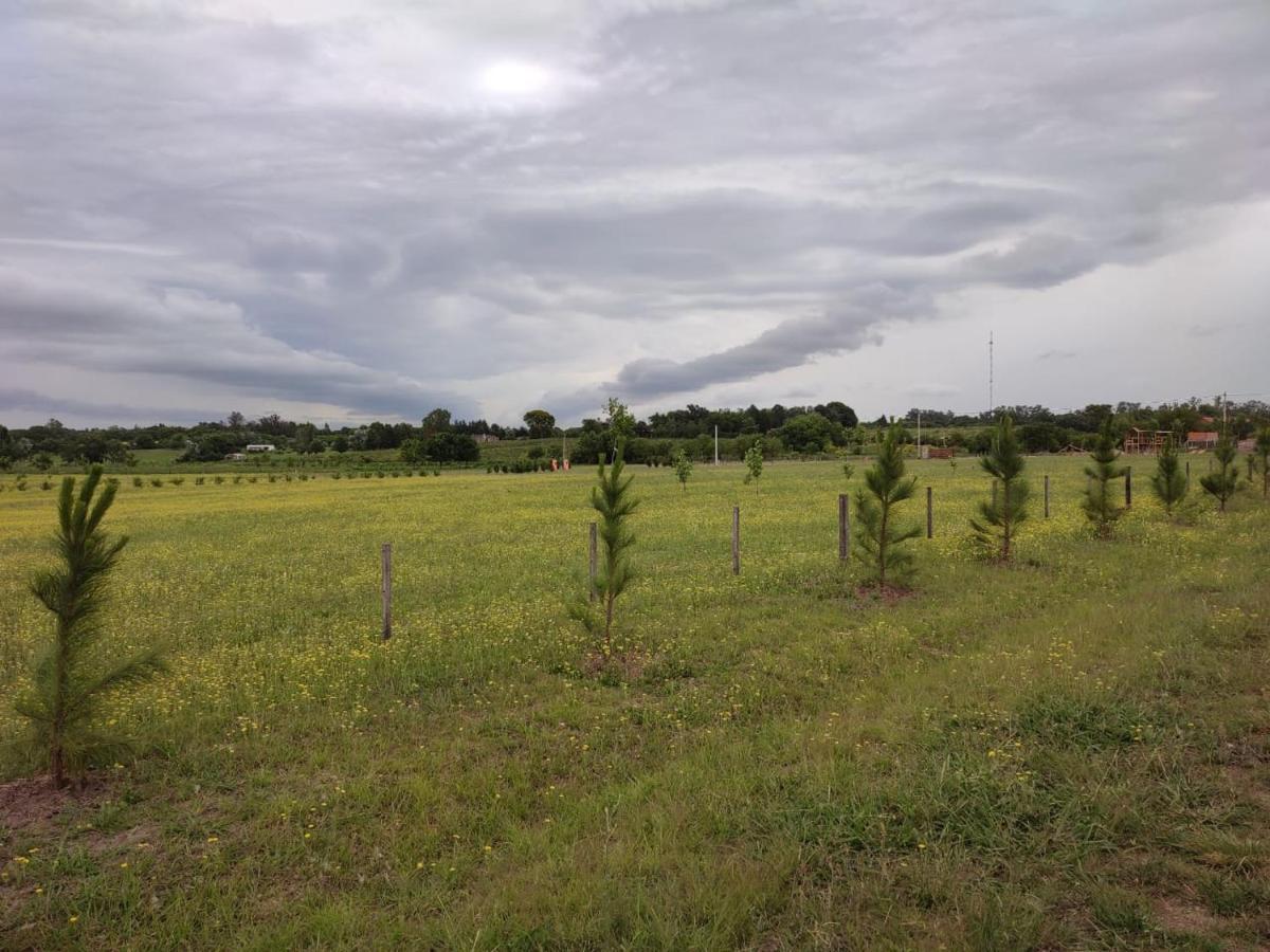 Tierra De Inmigrantes Villa Baradero Exterior foto